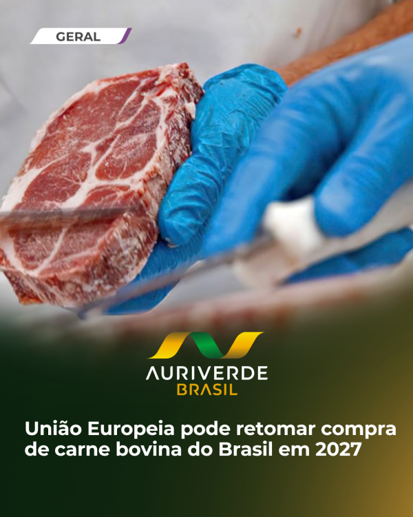 União Europeia pode retomar compra de carne bovina do Brasil em 2027