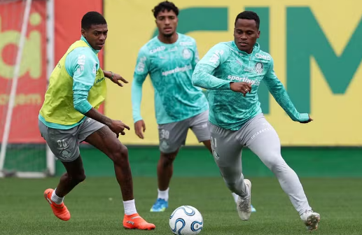 Palmeiras terá quatro desfalques contra a LDU pela Libertadores