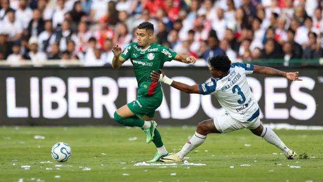 palmeiras 01