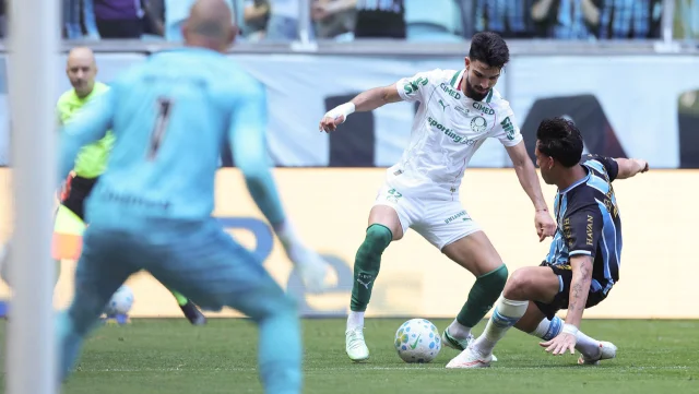 palmeiras