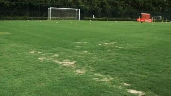 Não é só Dorival: técnicos do São Paulo acumulam críticas ao CT e à estrutura do clube