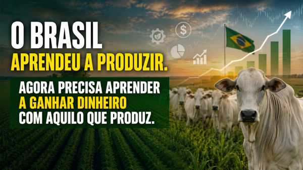 POLÍTICA NACIONAL DE EFICIÊNCIA FINANCEIRA DO AGRONEGÓCIO BRASILEIRO (PNEFA)