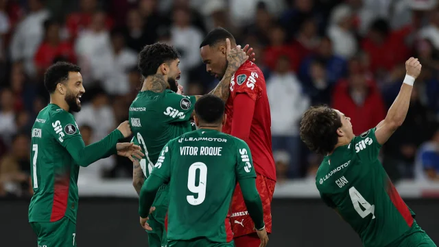 palmeiras 02