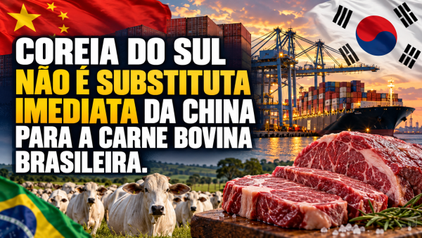 COREIA DO SUL NÃO É SUBSTITUTA IMEDIATA DA CHINA PARA A CARNE BOVINA BRASILEIRA.”