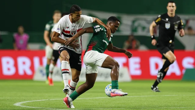 palmeiras