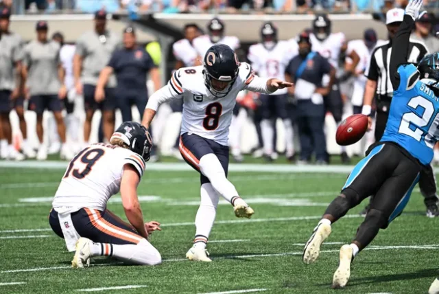 bears