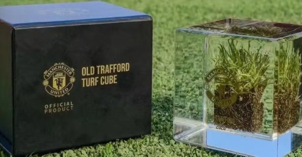 Manchester United registra sétimo prejuízo consecutivo e coloca grama de Old Trafford à venda